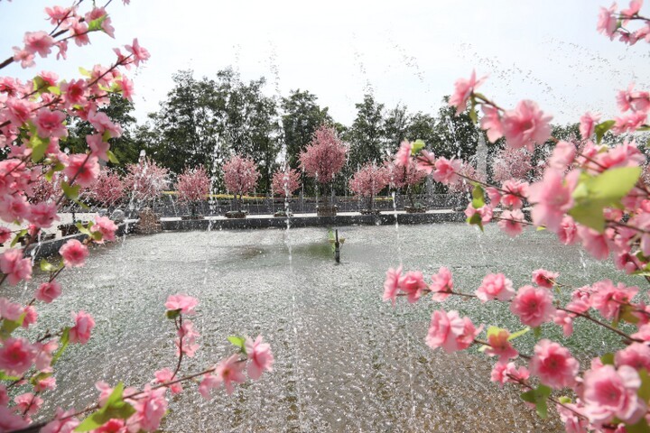 环境展示